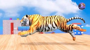 Choose The Right Gift Box Run Game With Elephant Cow Gorilla Tiger Dinosaur Trex Wild Animals Games