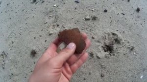 Велопоход. На велосипеде в поисках окаменелостей. Нашел зуб мегалодона. Пора в Поход