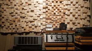 audio research  ls3 ,jeff rowland,accuphase  ,energy veritas v2.8   ,2x rel sub