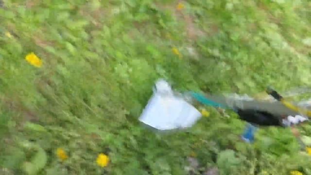 PMC grass trimmer смотреть онлайн