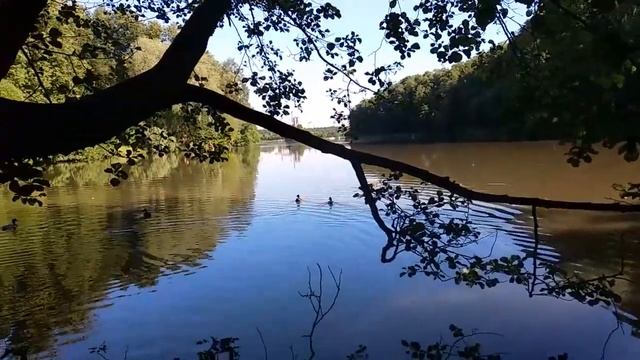Медитативное упражнение на развитие интуиции.