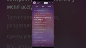 Steshok-Флексим  Speed up+текст
