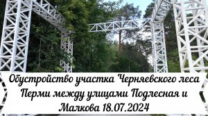 Обустройство участка Черняевского леса Перми между улицами Подлесная и Малкова 18.07.2024
