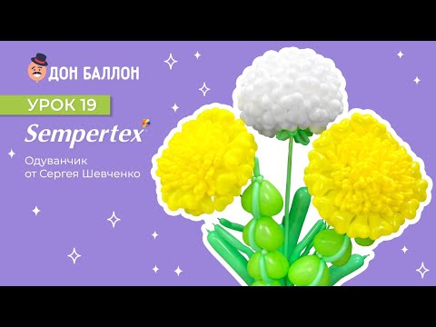 Урок 19. Одуванчик от художника по воздушным шарам Сергея Шевченко. смотреть онлайн