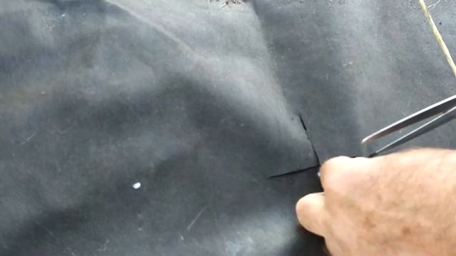 ПОСАДКА ЧЕСНОКА под УКРЫВНОЙ МАТЕРИАЛ.