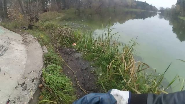 Вот Это Находка на Поисковый Магнит,search Magnet