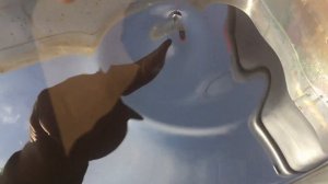 Старое жженное масло с АКПП