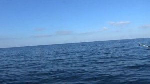 Морская рыбалка в ноябре в Черном море. Севастополь. ловим ставриду.