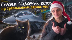 Заброшенный завод истребителей МИГ. Спасаем котов в заброшенных цехах.