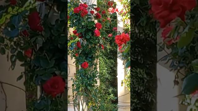 Стоит ли давать шанс человеку?Сколько нужно прощать.Простить можно.Но как забыть?Чего нельзя прощат смотреть онлайн