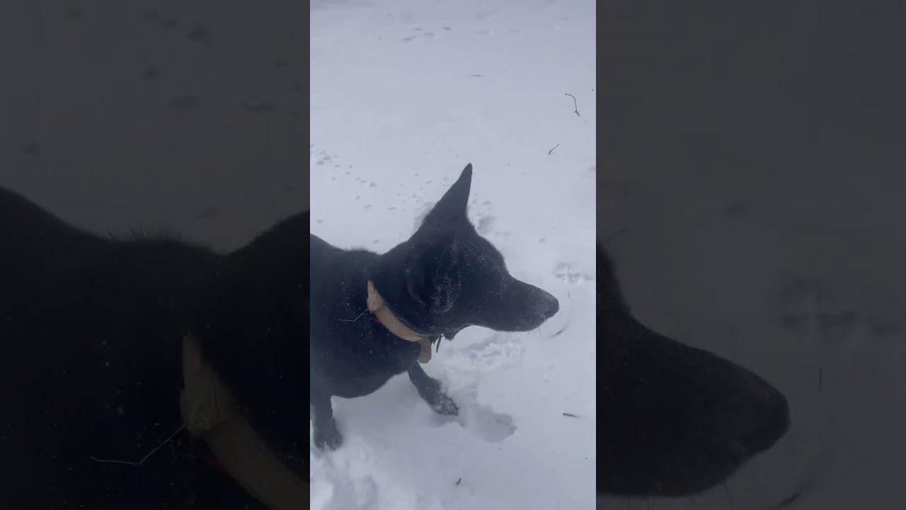 17 февраля 2024 г. смотреть онлайн