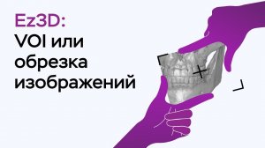 Возможности программы Ez3D: VOI или обрезка изображения