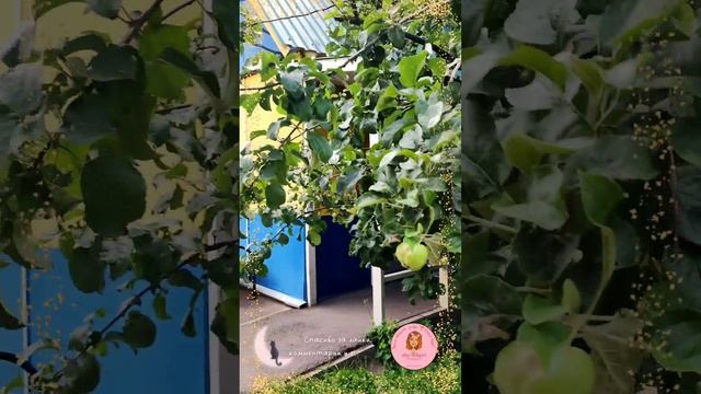 Как мы сходили на станцию юных Натуралистов ?