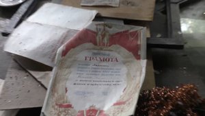 Охота на дупеля. День 3