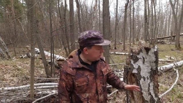 Последствия ожеледи...