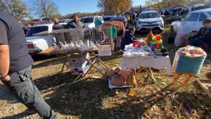 Ярмарка голубей г Кропоткин 2 часть .29.10.2023