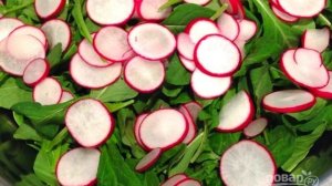 Салат с рукколой и редисом