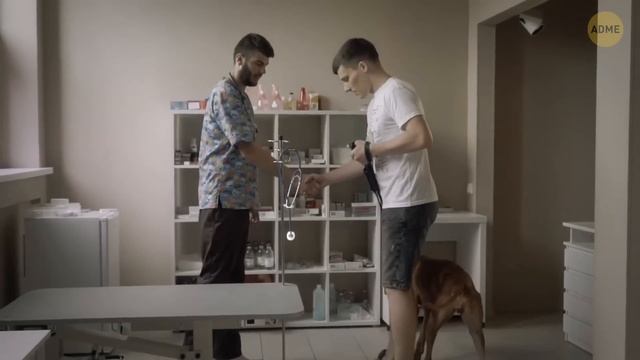 Что бы вы услышали, если бы могли понимать язык животных смотреть онлайн