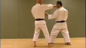 Wado Ryu Karate-do  Kihon