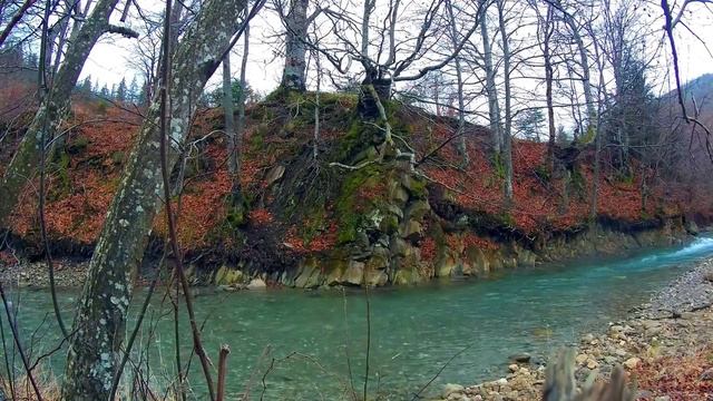 Красивые осенние пейзажи, прогуляйтесь по осенней природе под приятную музыку для спокойного отдыха смотреть онлайн