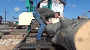 Распиловка осины пилорама тайга