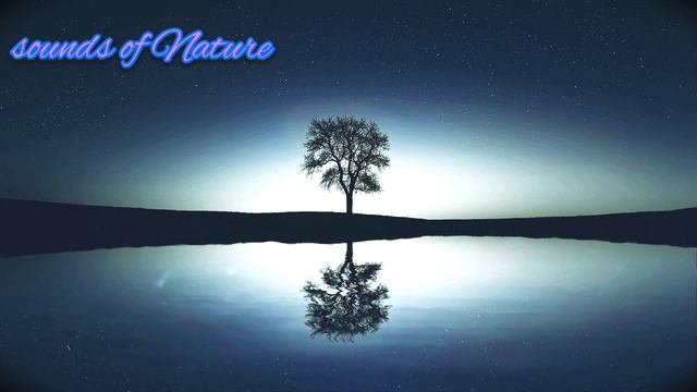 Эта МУЗЫКА заставит вас уединиться с природой смотреть онлайн