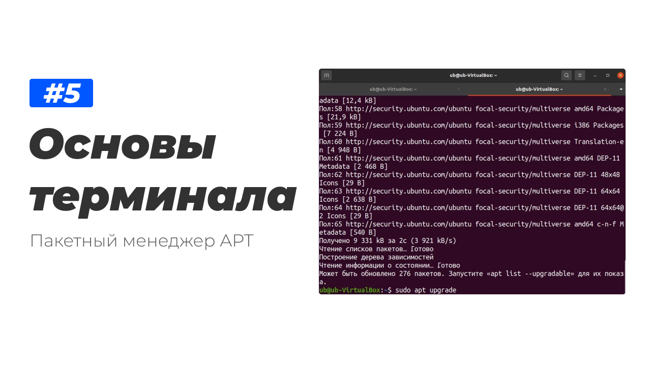 5. Основы терминала Linux. Пакетный менеджер APT