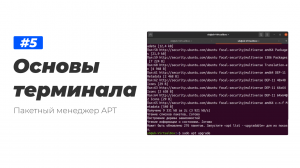 5. Основы терминала Linux. Пакетный менеджер APT