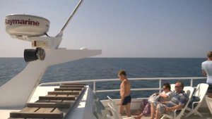 Морская прогулка на катамаране Дельфин поселок Дивноморское