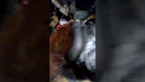 Чем пропитать обувь чтоб не промокала.