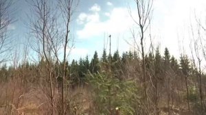 Кусторез Husqvarna 535FBX с гибкой подвеской режущего агрегата