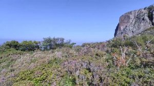 СИХОТЭ-АЛИНСКИЙ заповедник Ч.3_ тропа озеро Голубичное- озеро Благодатное.
Приморский край.