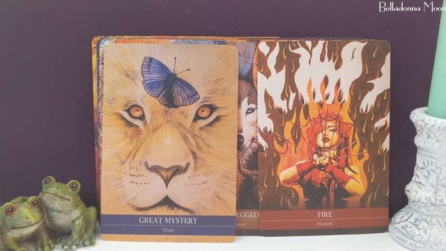 shamanic medicine oracle cards (NO TALKING) смотреть онлайн