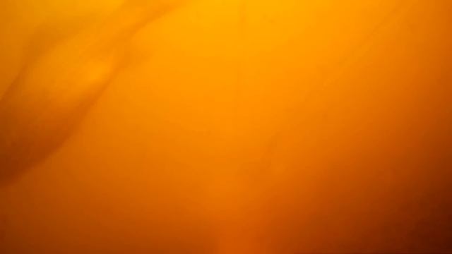 КАРАСЬ НА ДЫНЮ, МУСКУСНАЯ ДЫНЯ! РЕАКЦИЯ КАРАСЯ НА ДЫНЮ, ПОДВОДНОЕ ВИДЕО РЕАКЦИЯ РЫБЫ! смотреть онлайн