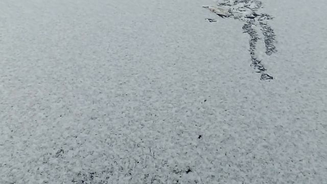 Зимняя рыбалка в палатке смотреть онлайн