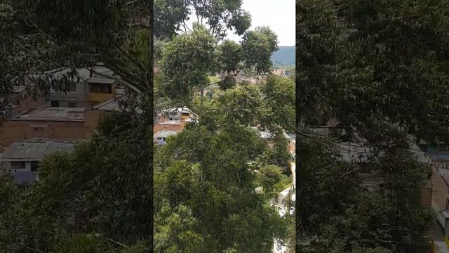 medellin 360 desde aguas frias 2