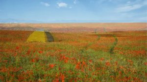 Казахская степь весной