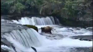 Национальный Парк Катмай. Аляска.