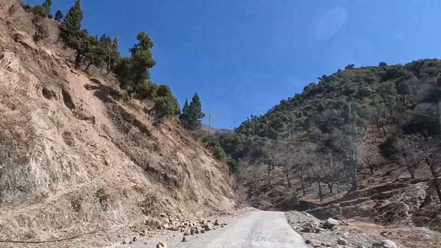 Rhododendron |national flower of nepal|Journey to Pokhara बाटोमा भेडा रहेछ । लालीगुराँसको फुल हेर्न смотреть онлайн