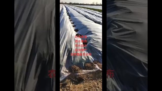 Farm crops cold, wind, insect, thermal insulation polypropylene non-woven suppliers