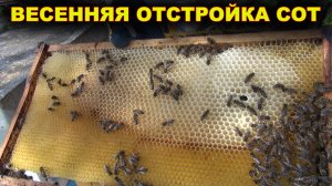 Чтобы не портили вощину весной.