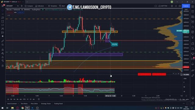 САМЫЕ РАСПРОСТРАНЕННЫЕ ОШИБКИ НОВИЧКОВ В КРИПТЕ (ВАЖНО ЗНАТЬ!) смотреть онлайн