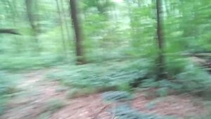 Бешеные лисы...(2 часть)