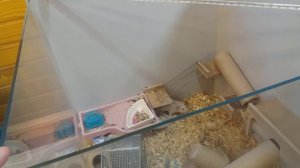 Террариум своими руками.