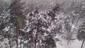 Мело, мело по всей земле...