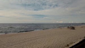 Балтийская коса август 2023