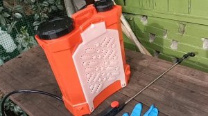 Сажистый гриб на цитрусовых.