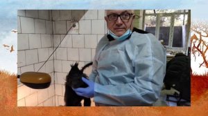 ВСКРЫТИЕ ОБЕЗЬЯНЫ 2021! ЧАСТЬ 1 #охота#обезьяна#дикийзверь#африка