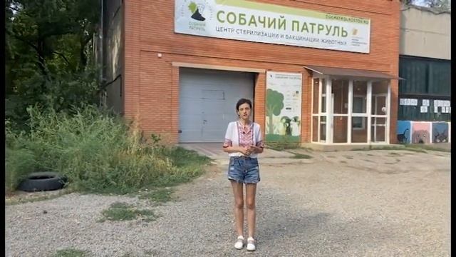 ДВА СЛОВА: выпуск 5 (часть 1, о проекте "Животные делают на людьми") смотреть онлайн