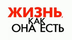 Жизнь, как она есть
